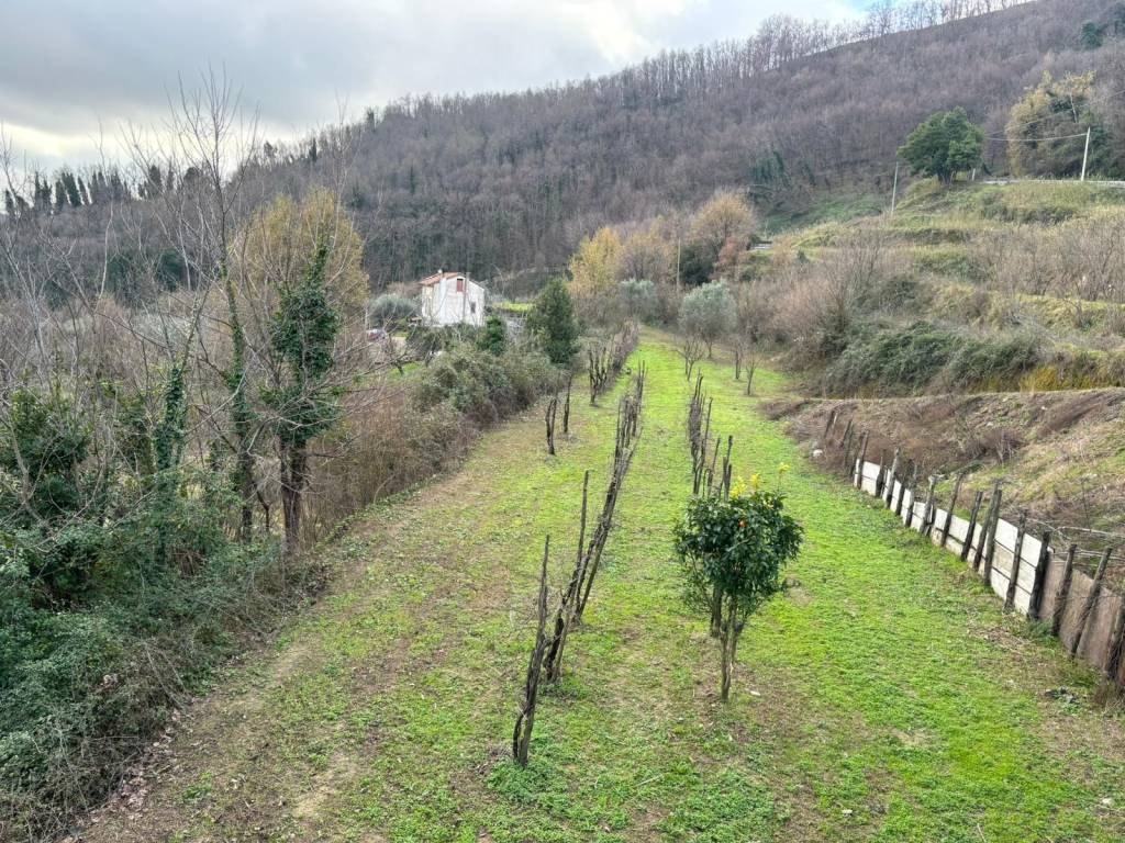 Terreno a Pellezzano in Via Casignano - Foto 2