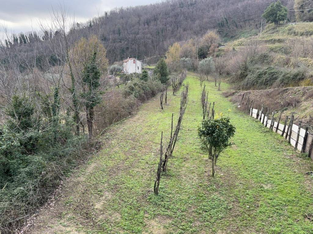 Terreno a Pellezzano in Via Casignano - Foto 4