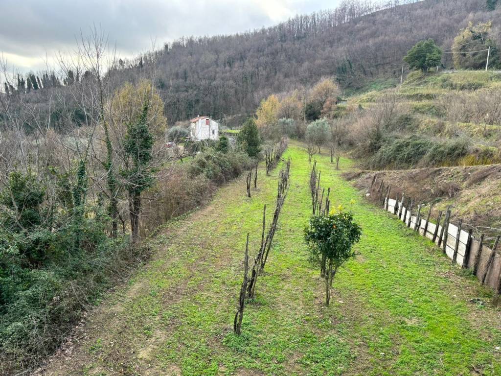 Terreno a Pellezzano in Via Casignano - Foto 5