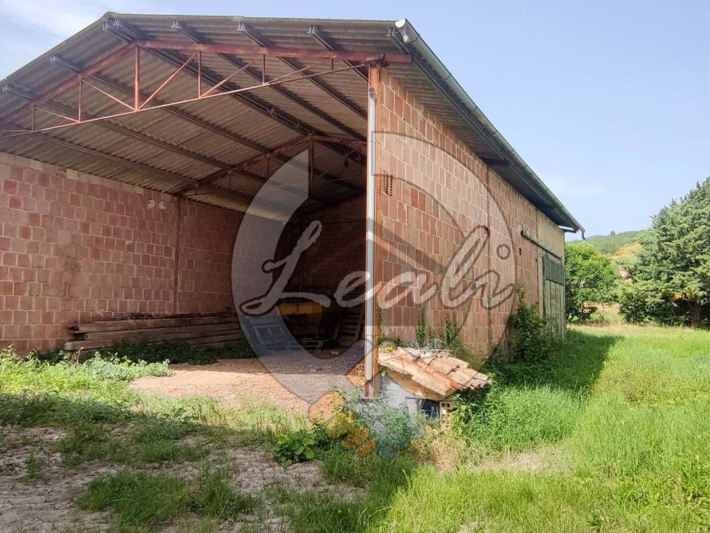 Rustico / casale a San severino marche in LOCALITA' SANT' ELENA - Foto 5