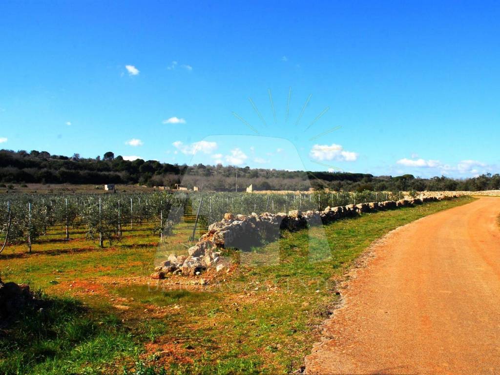 Terreno a Morciano di leuca in Strada Vicinale Salvo Barbarano - Foto 2