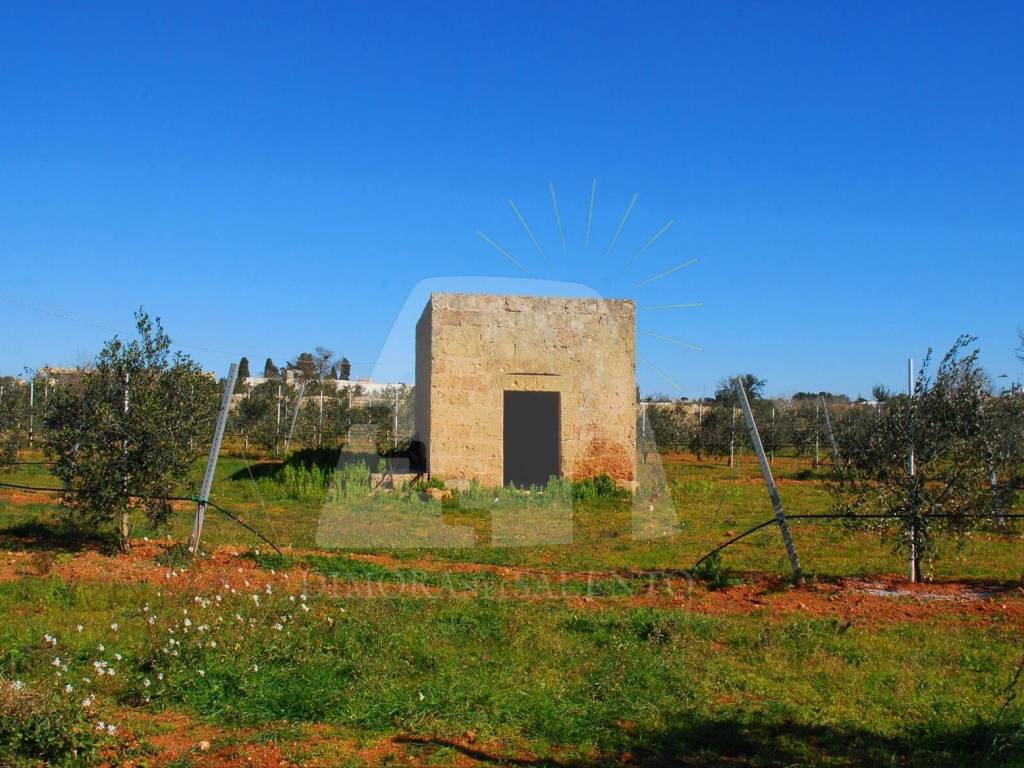 Terreno a Morciano di leuca in Strada Vicinale Salvo Barbarano - Foto 4