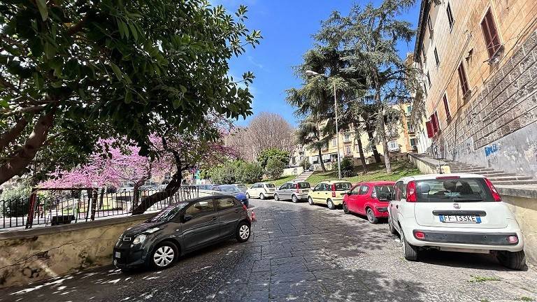 Appartamento a Napoli in Vico Pacella ai Miracoli - Foto 3