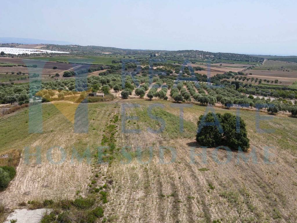 Terreno a Noto in Via Tommaso Fazello, 228 - Foto 2