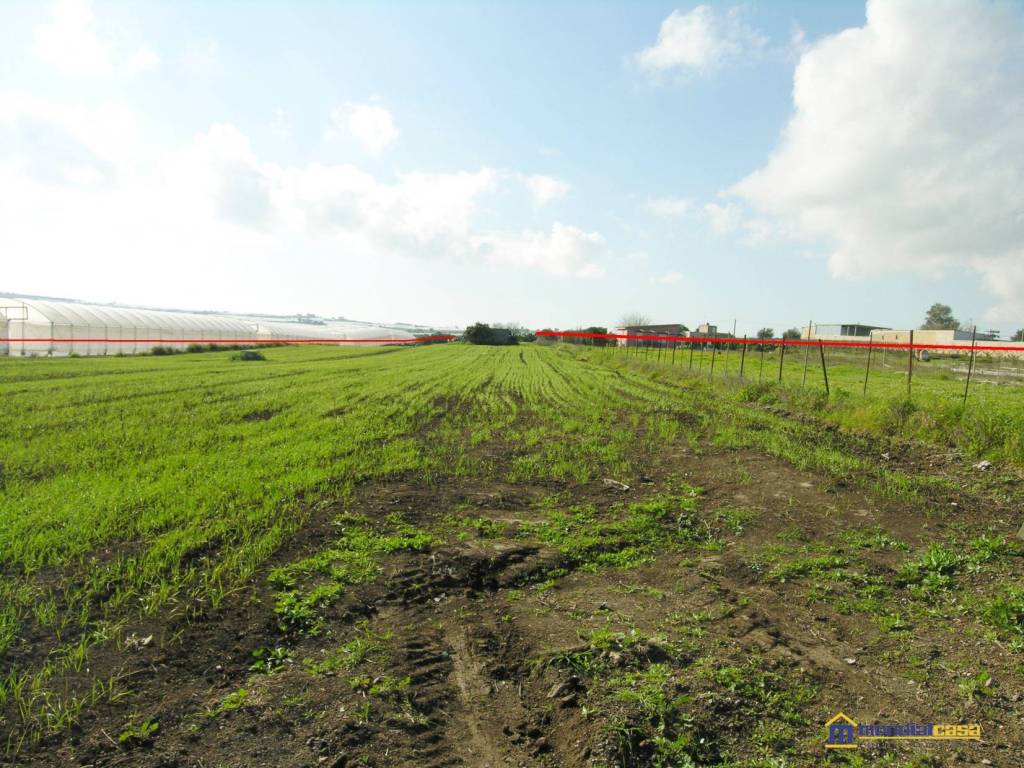 Terreno a Pachino in c.da Cozzarelli - Foto 4