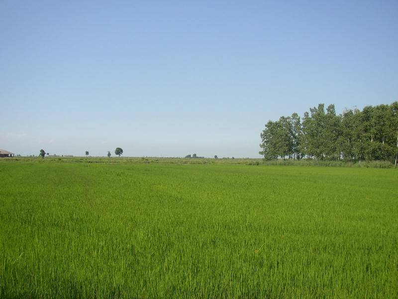Terreno a Vercelli in Via Galileo Ferraris - Foto 4