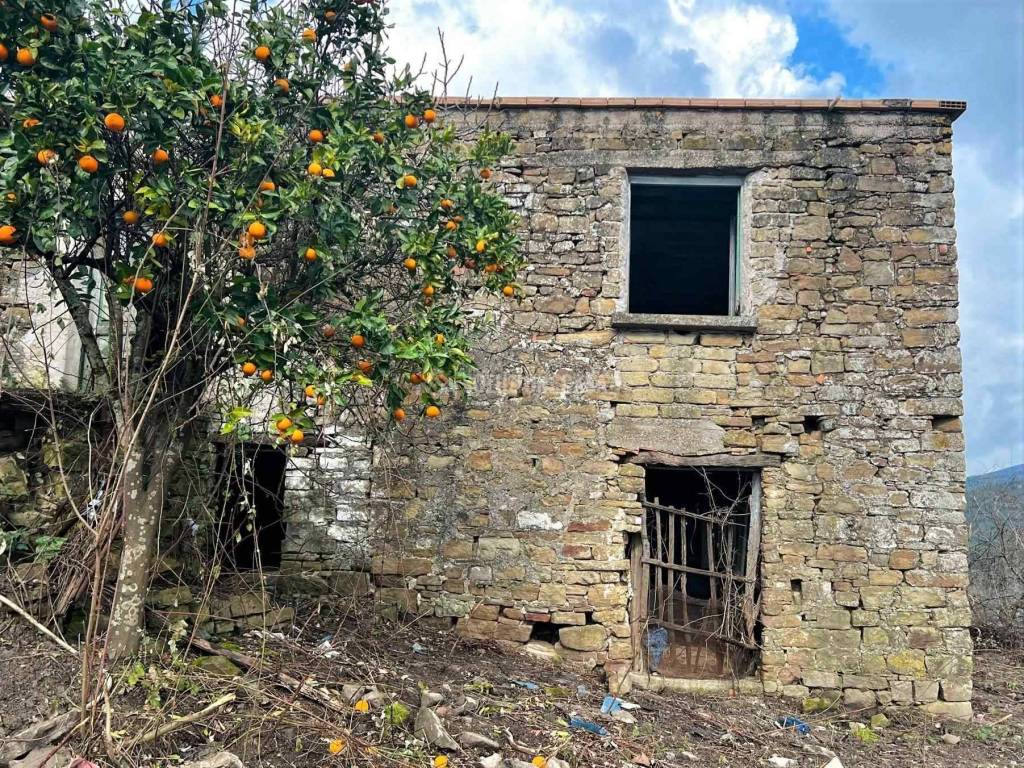 Rustico / casale a Montemurlo in Via Raffaele Scarpettini, 218 - Foto 5