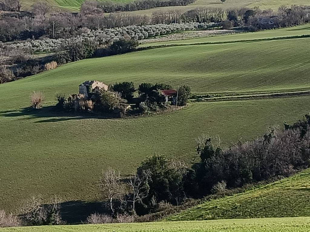 Terreno a Montelupone - Foto 2
