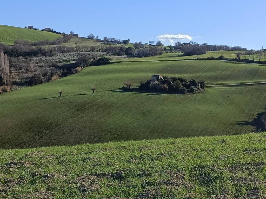 Terreno a Montelupone - Foto 3