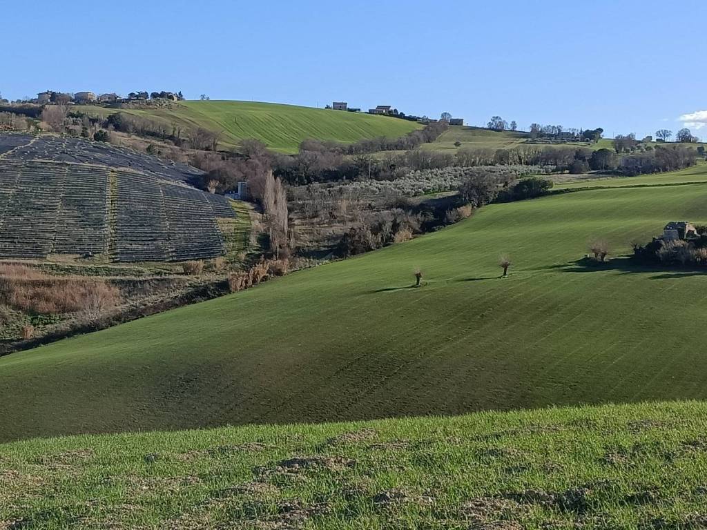 Terreno a Montelupone - Foto 4