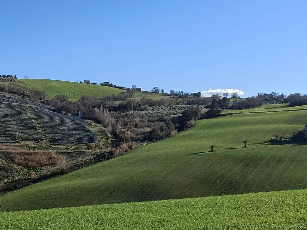 Terreno a Montelupone - Foto 5