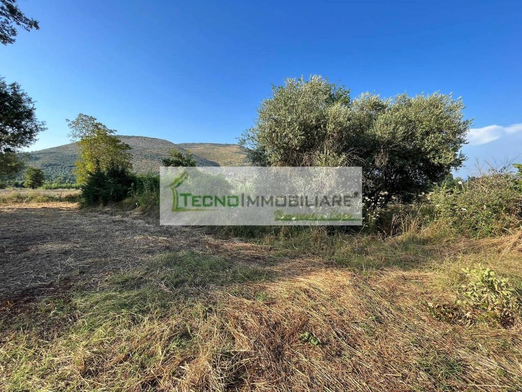 Terreno a Esperia in Monticelli - Foto 3