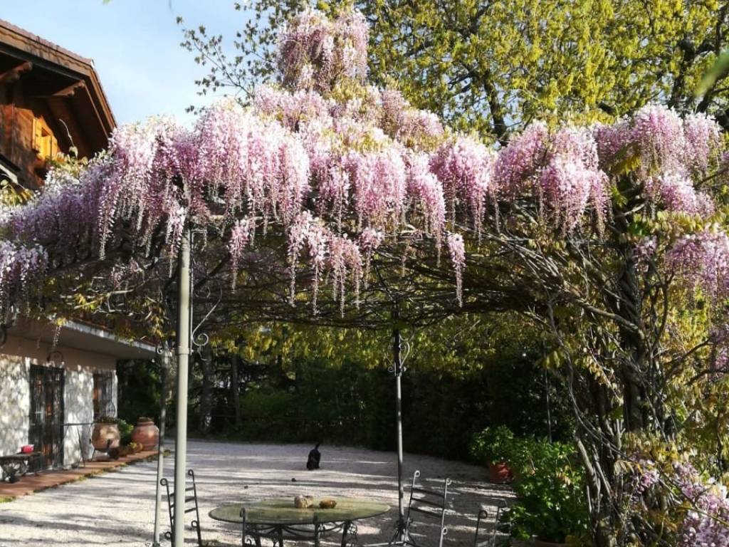 Appartamento a Passignano sul trasimeno in Via dei Cespugli - Foto 3