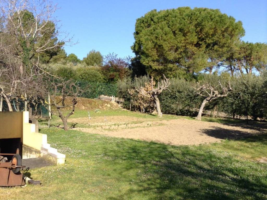 Terreno a Tortoreto - Foto 2