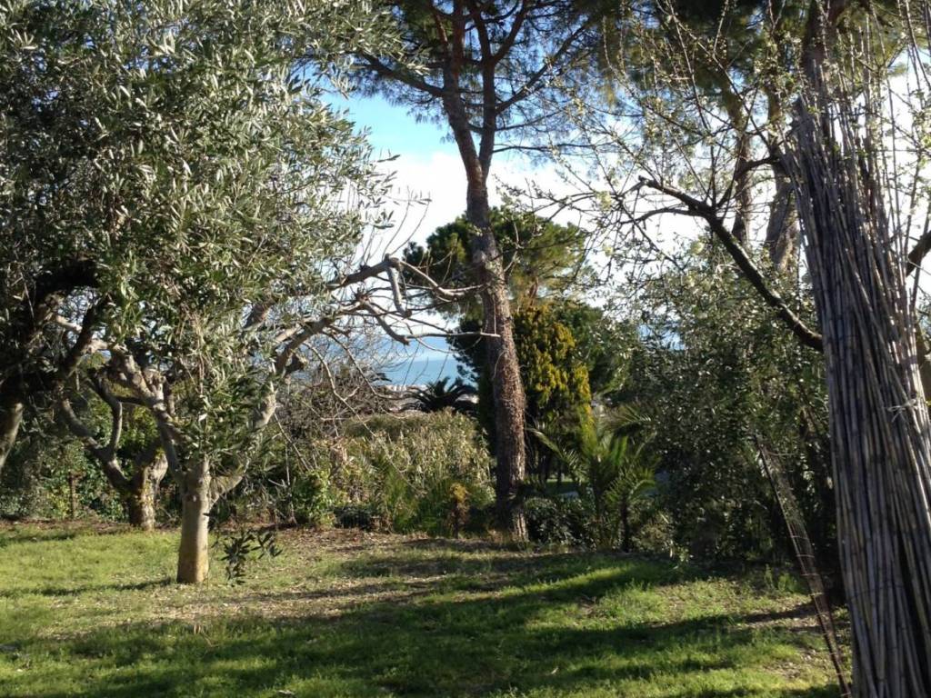 Terreno a Tortoreto - Foto 3