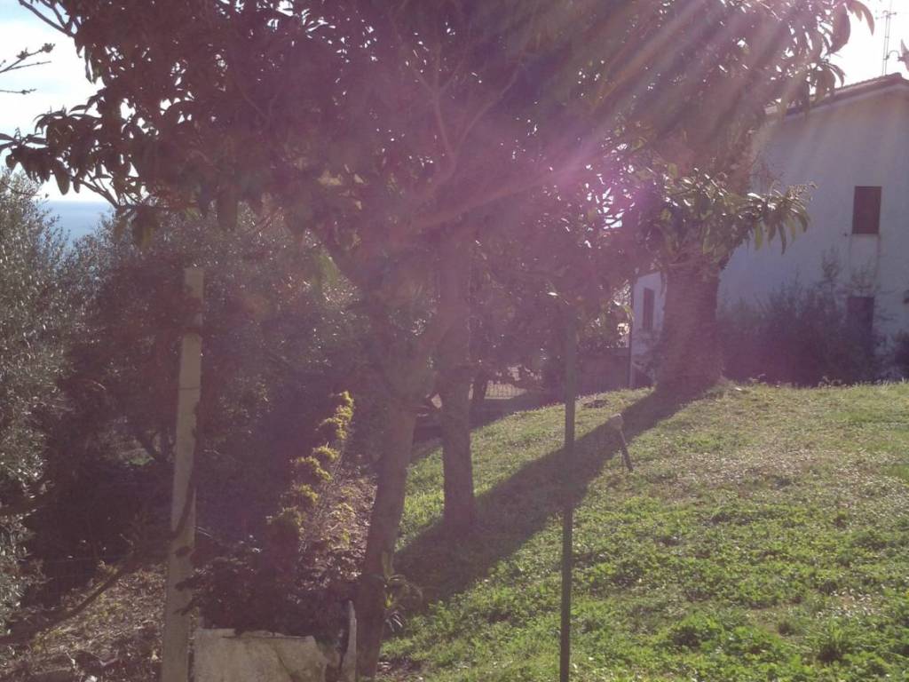 Terreno a Tortoreto - Foto 5