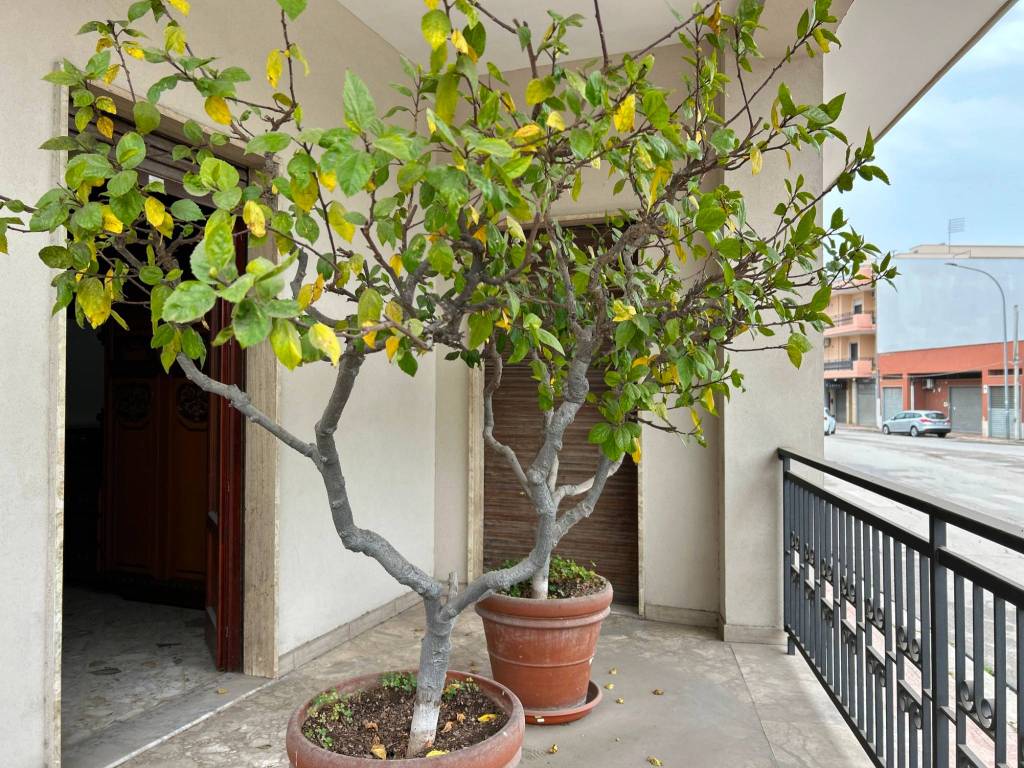 Appartamento a Grottaglie in Piazza San Ciro - Foto 5