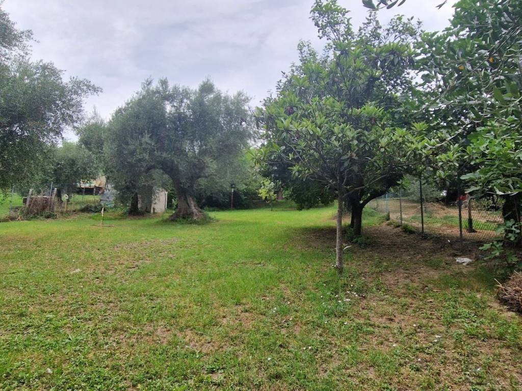 Rustico / casale a Cartoceto in Via Valle - Foto 3