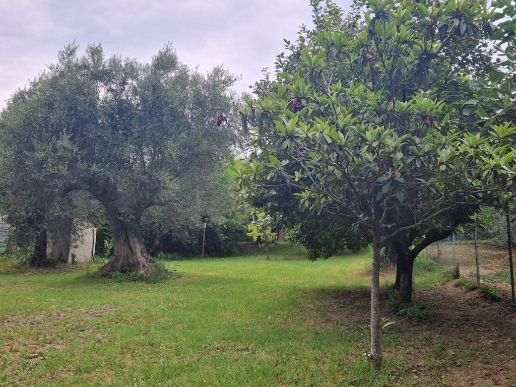 Rustico / casale a Cartoceto in Via Valle - Foto 4