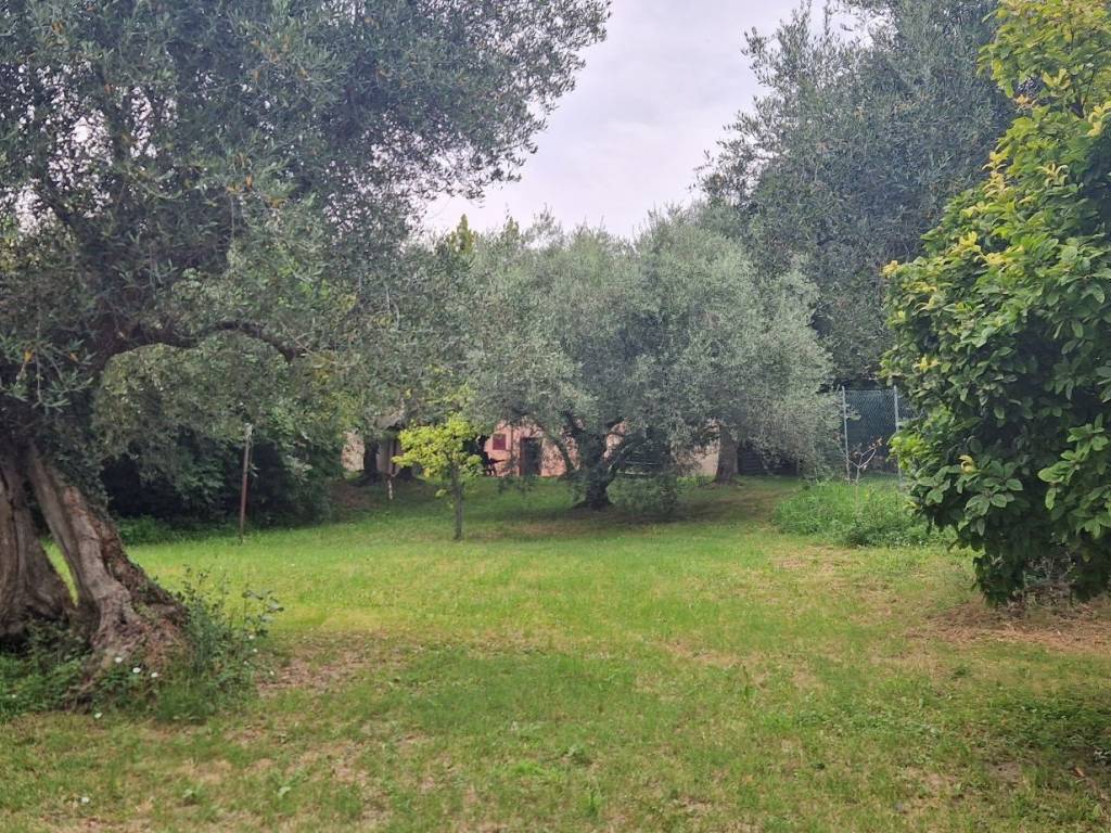 Rustico / casale a Cartoceto in Via Valle - Foto 5