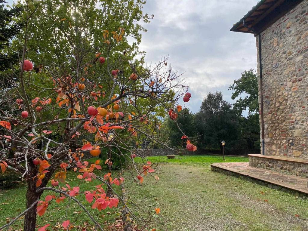 Appartamento a Monticiano - Foto 3