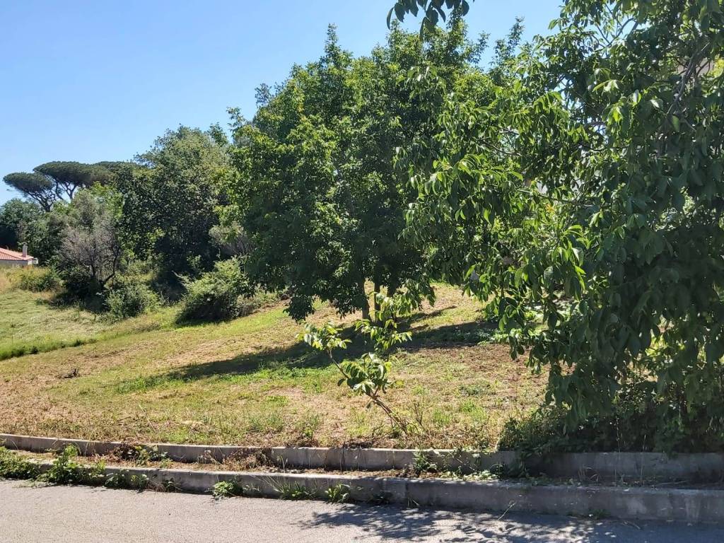 Terreno a Acquaviva collecroce in Via Indipendenza, 47 - Foto 5