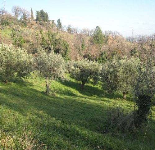 Terreno a Ascoli piceno in Monterocco - Foto 2