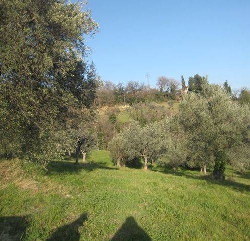 Terreno a Ascoli piceno in Monterocco - Foto 3