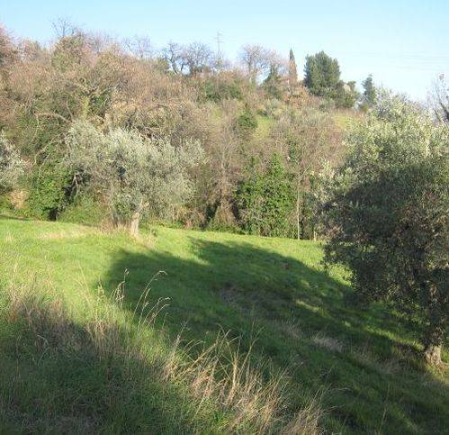 Terreno a Ascoli piceno in Monterocco - Foto 5