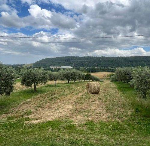 Terreno a Civitella del tronto in Villa Lempoa - Foto 2