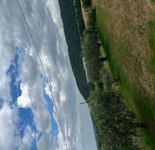 Terreno a Civitella del tronto in Villa Lempoa - Foto 5