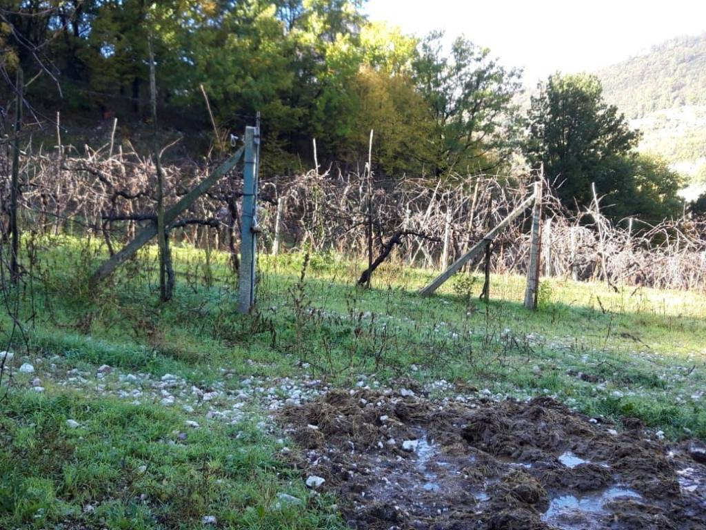 Terreno a Ferentillo in macenano - Foto 2