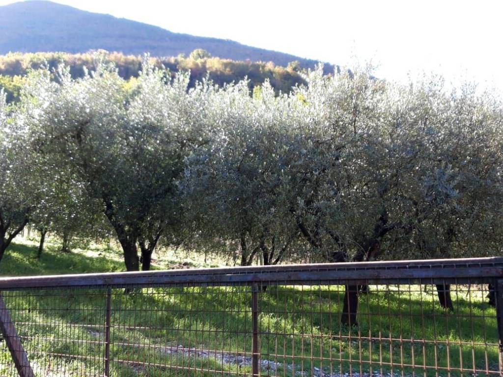 Terreno a Ferentillo in macenano - Foto 4