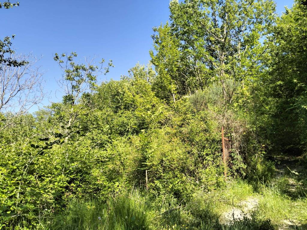 Terreno a Arrone in rosciano - Foto 3