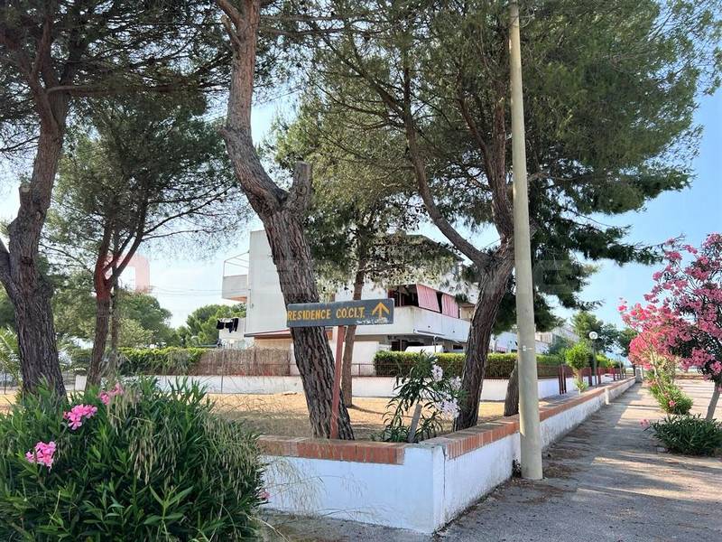 Appartamento a Manfredonia in Scalo Saraceni - Foto 2