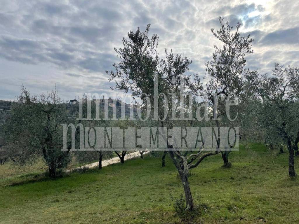Terreno a Manciano in Via Scansanese - Foto 2