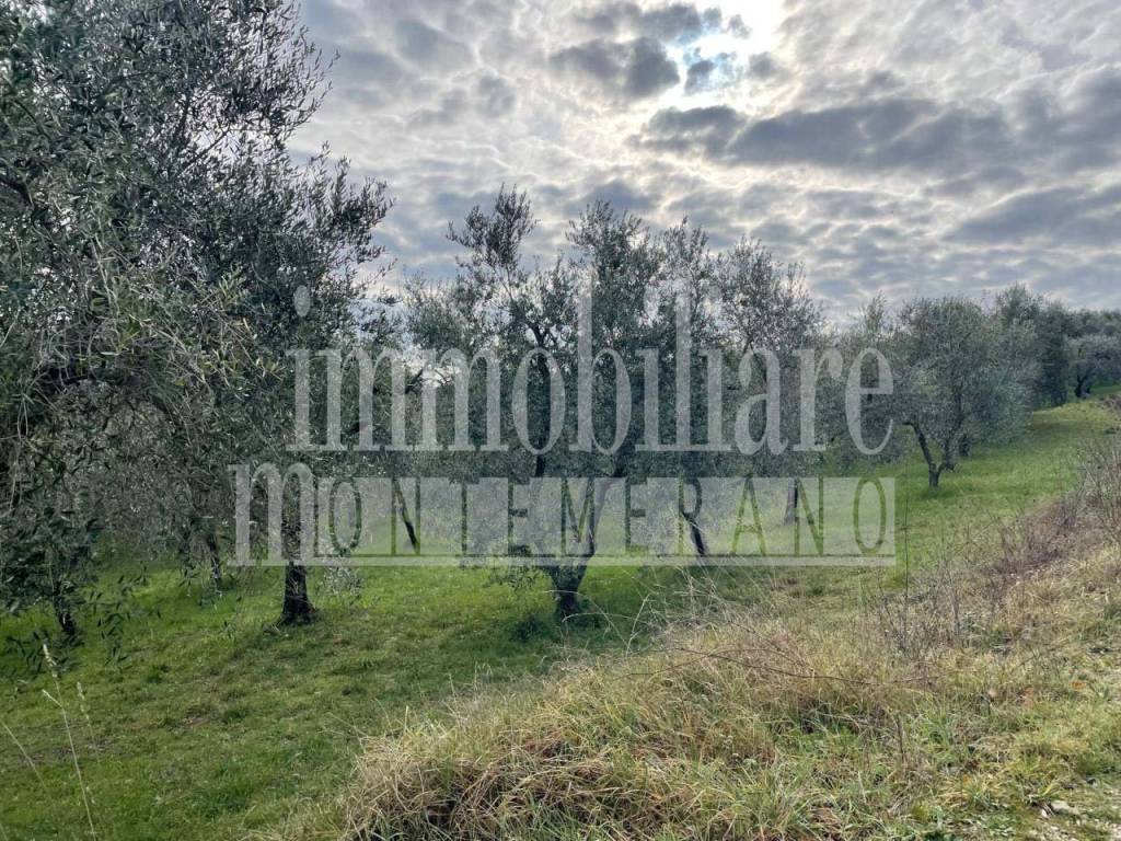 Terreno a Manciano in Via Scansanese - Foto 3