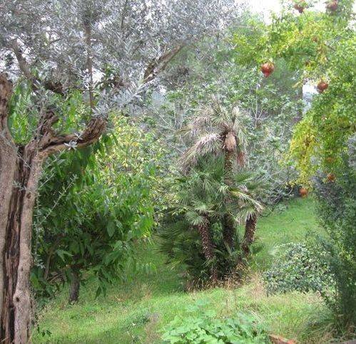Villa a Ascoli piceno in Via Valle Fiorana 2 - Foto 5