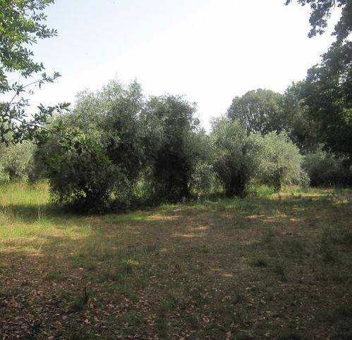Villa a Spinetoli in Palazzi - Foto 3