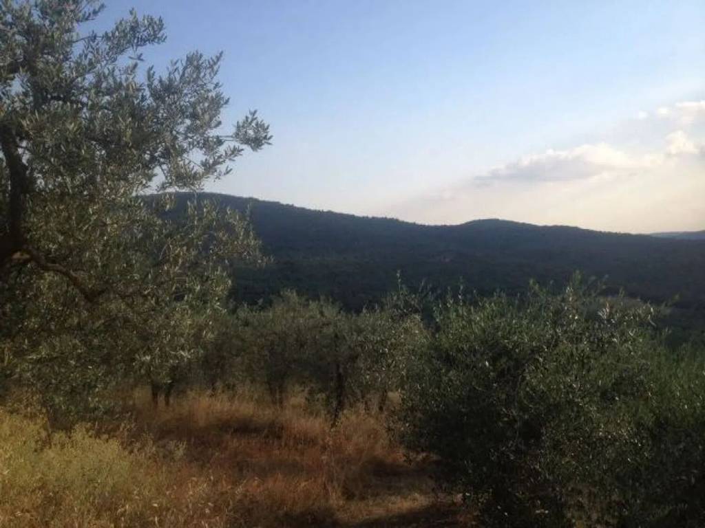 Terreno a Bucine - Foto 2
