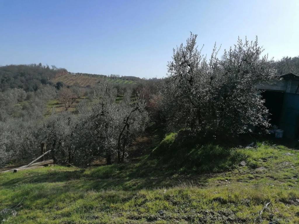 Terreno a Montevarchi - Foto 2