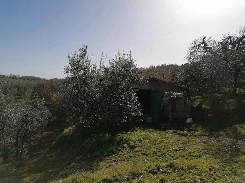 Terreno a Montevarchi - Foto 3
