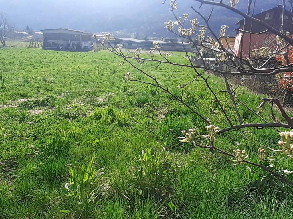 Terreno a Poggiridenti - Foto 4