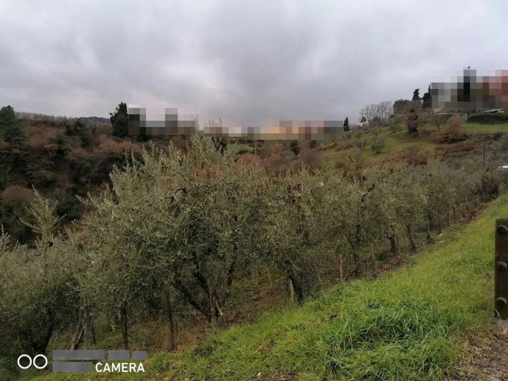 Terreno a Montevarchi - Foto 2