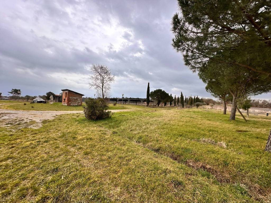 Rustico / casale a Castiglione del lago in Via Trasimeno 2 - Foto 4