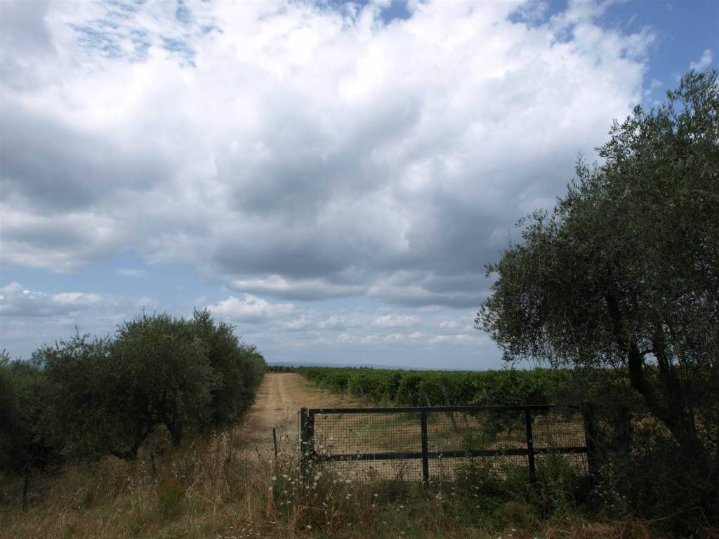 Rustico / casale a Poggibonsi in via del chianti - Foto 5