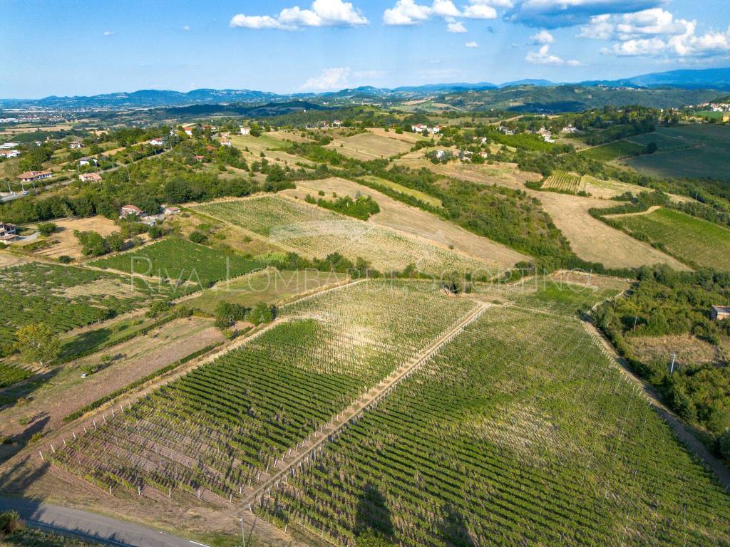 Terreno a Tortona in Strada Vicinale del Pozzo - Foto 4