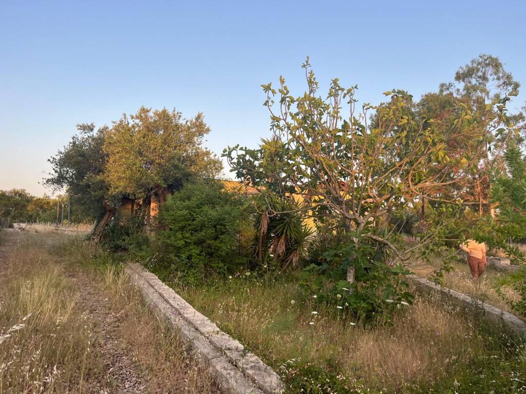 Terreno a Acquaviva delle fonti in Strada Vicinale Santa Croce - Foto 2