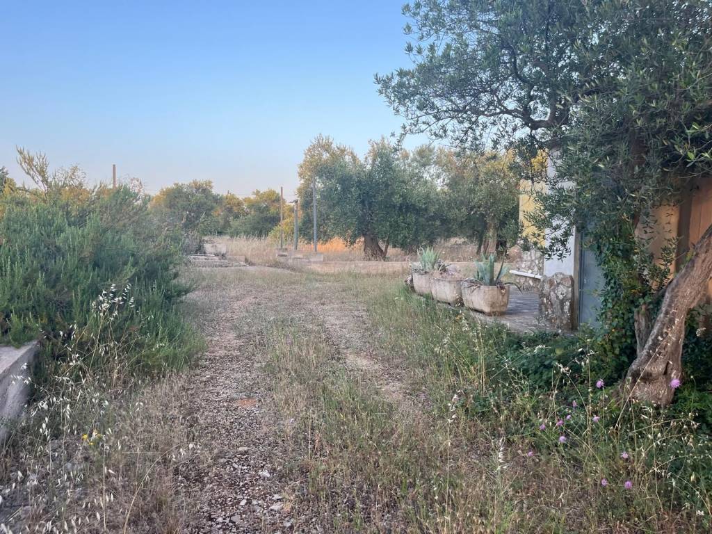 Terreno a Acquaviva delle fonti in Strada Vicinale Santa Croce - Foto 3