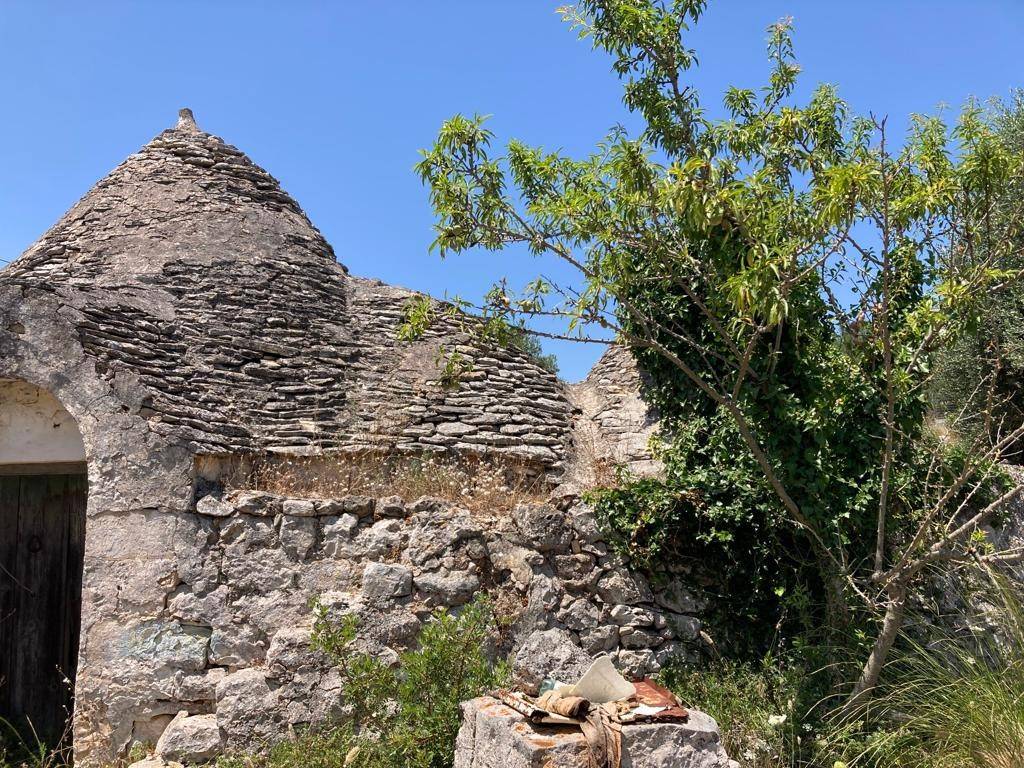 Rustico / casale a Ceglie messapica in Contrada LA SELVA - Foto 3